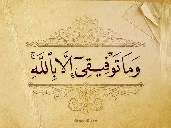 منى جابر أحمد عبد الحافظ